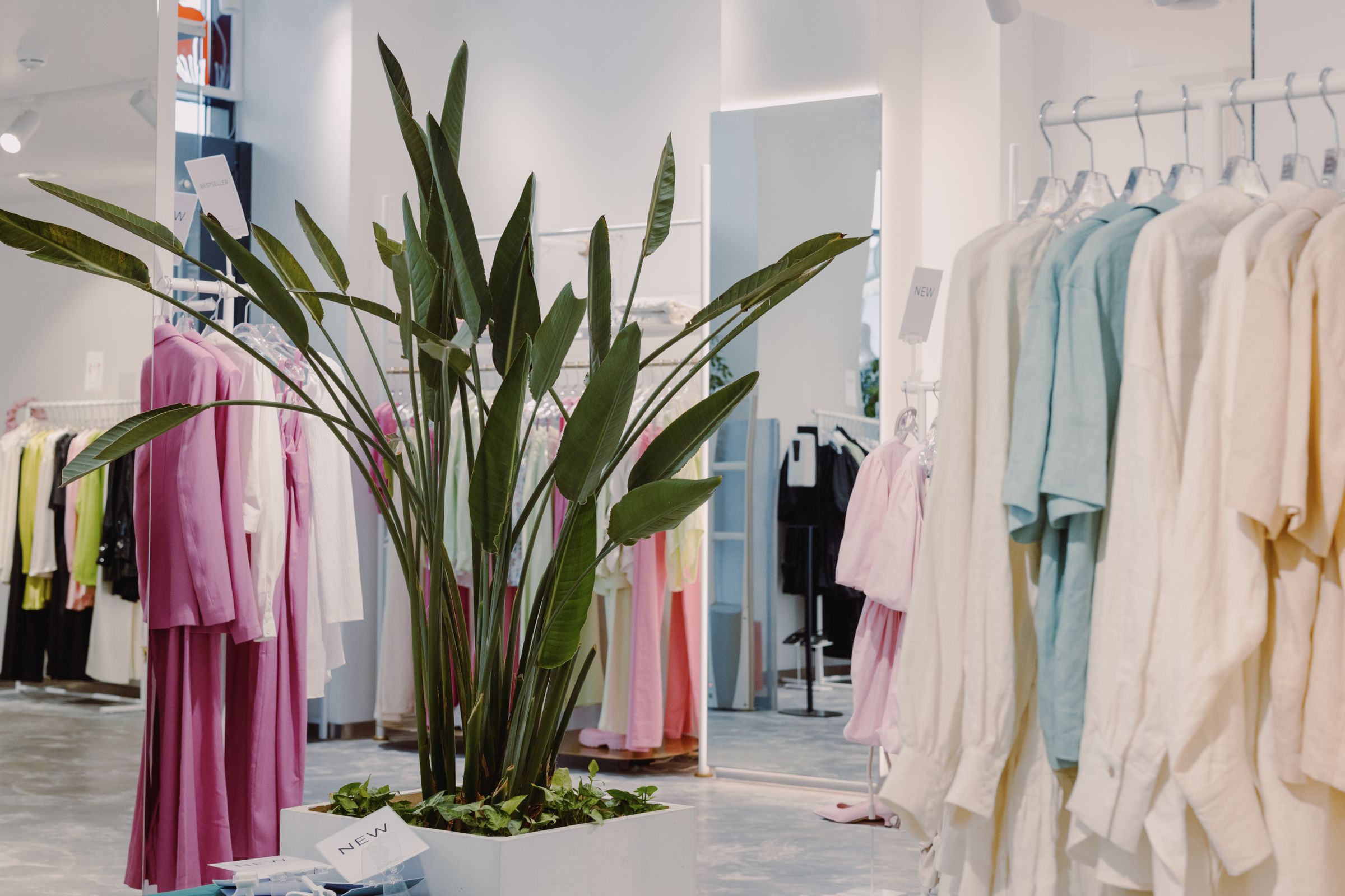 Nötr tonlarda giysilerin sergilendiği butik mağaza içi
